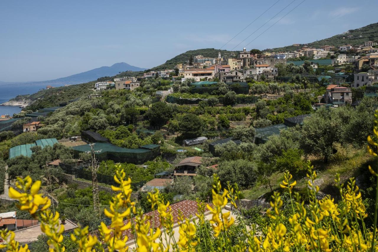 Neva Suites Massa Lubrense Sorrento Coast Buitenkant foto