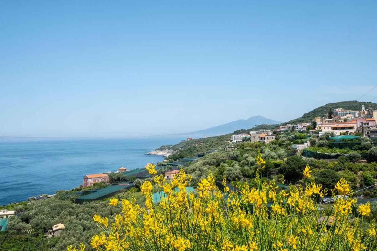 Neva Suites Massa Lubrense Sorrento Coast Buitenkant foto