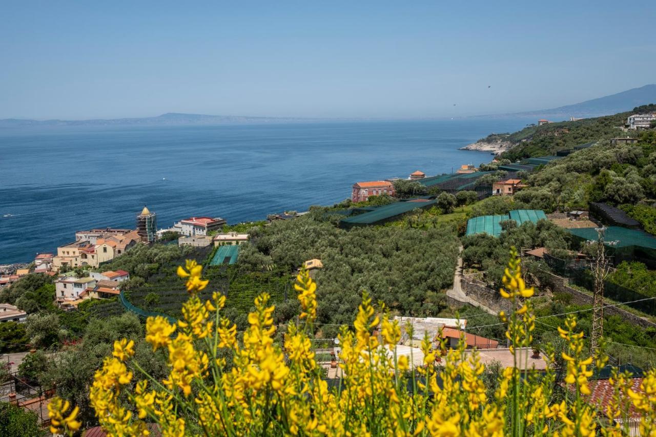 Neva Suites Massa Lubrense Sorrento Coast Buitenkant foto